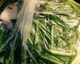 すぐ食べられる☆簡単かぶの浅漬け作り方7写真