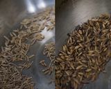 クミンティー★スープン1杯のクミンで作る作り方2写真
