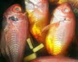 生のお頭つき◆金目鯛と豆腐の煮付け作り方3写真