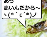 新・ミイラししゃも【ヘルシー度UP?】作り方7写真