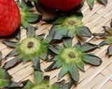 ヘタでサクサク♡いちごの葉っぱの天ぷら作り方1写真