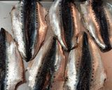 ソースで照り焼き♪イワシの大葉チーズ巻き作り方1写真