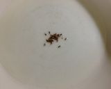 オカラとキャベツのカレー炒め作り方1写真