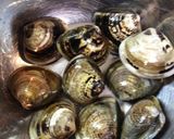 蛤のお吸い物（潮汁）作り方3写真