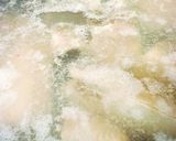 ぶりのアラでぶり大根♪作り方3写真
