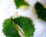しそチーズの白身魚フライ❀作り方4写真