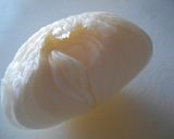 栄養重視☆玉ねぎの辛み取り（写真付き）作り方1写真