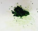 春香る~イタリアンパセリのシフォンケーキ作り方1写真