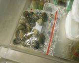これで完璧！ アサリ砂抜き＆簡単保存法作り方14写真