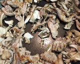 豆苗で☆豚肉のオイスターソース炒め作り方3写真