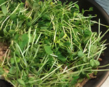 豆苗で☆豚肉のオイスターソース炒め作り方4写真