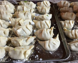袋の中材料入れる簡単餃子の皮作り作り方6写真