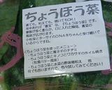ちょうほう菜ポーク和え作り方1写真