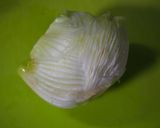♪フェンネルのアンチョビ炒め♪作り方2写真