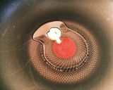 NZかぼちゃと豚バラのにんにくマヌカ炒め作り方2写真