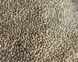 糖質制限！ふわふわチアシード大豆粉パン作り方10写真