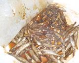 ワカサギとか魚が沢山釣れた時の甘露煮作り方16写真
