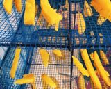 (炊飯器)安納芋の蜜で濃厚ヨーグルト♪作り方6写真