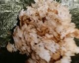 かつおがきいてるね！焼きそばでおにぎらず作り方3写真