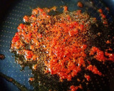 ふきの葉っぱで２種ふりかけとクルミ味噌作り方6写真