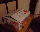 米麹 自家製 家にある道具でできる！作り方27写真