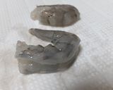 エビマヨ作り方1写真