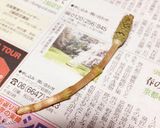 つくしのアク抜き♡作り方3写真