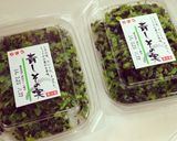 我が家の金山寺みそ作り方10写真