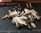 失敗なし✿煮込みチーズinハンバーグ作り方11写真