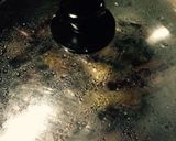 簡単☆茄子の生姜焼作り方3写真