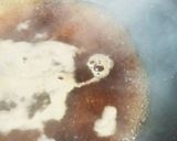薄切り豚肉で作る☆なんちゃってかつ丼☆作り方1写真