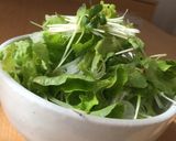 サラダ塩ラーメン作り方4写真
