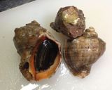 ニシ貝と里芋の塩煮作り方1写真