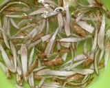 炊き込みご飯作り方1写真