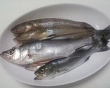 簡単すぎてスイマセン…セイゴの塩焼き作り方1写真