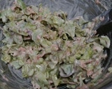 ふきのとう＊かき揚げ作り方2写真