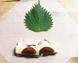 鶏胸肉の梅しそチーズ春巻き作り方3写真