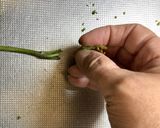 最速アク抜き〜味つけ　わらびのおひたし作り方3写真