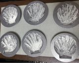 お気に入りのマドレーヌ作り方6写真