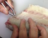 チヌ(クロダイ)の活け造り作り方11写真