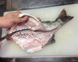 チヌ(クロダイ)の活け造り作り方6写真