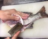 チヌ(クロダイ)の活け造り作り方5写真