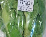 蛸と鯛白菜の菜の花塩レモンサラダ作り方1写真