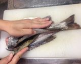 チヌ(クロダイ)の活け造り作り方7写真