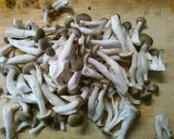 白菜 しめじ ベーコンの 味噌煮込み！作り方2写真