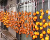 奈良名物ー柿なます作り方1写真