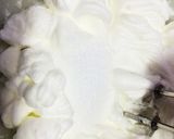 しっとり紅茶のシフォンケーキ作り方4写真