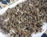 カルシュームふりかけ(^.^)/~~作り方7写真