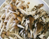 しめじと舞茸の炊き込みおこわ♬作り方2写真
