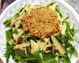 やみつき!納豆大根サラダ作り方8写真